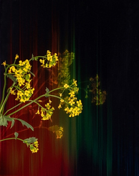 Декоративная нержавеющая сталь Gradient Dark Тechno